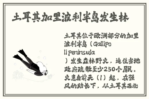 亚洲精品国产精品国产欧美精品一区二区三区